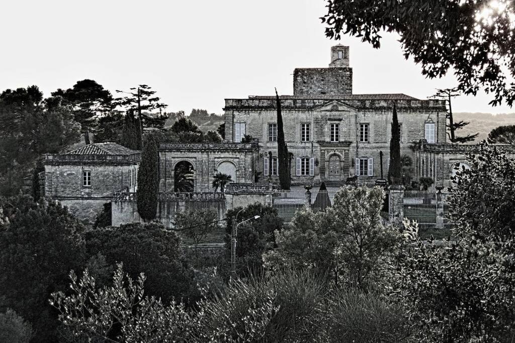 Studio Entre Cevennes Et Camargue Montfrin Экстерьер фото